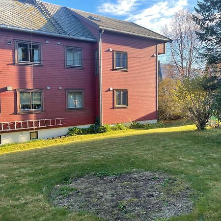 Aurora Tromso Apartment Dış mekan fotoğraf