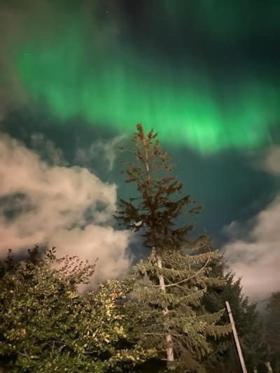Aurora Tromso Apartment Dış mekan fotoğraf