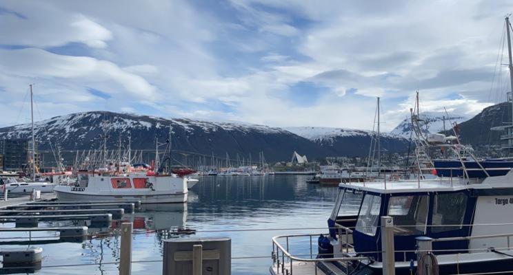 Aurora Tromso Apartment Dış mekan fotoğraf