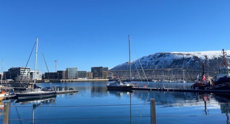 Aurora Tromso Apartment Dış mekan fotoğraf